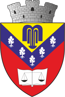 Primăria Orașului Băile Govora