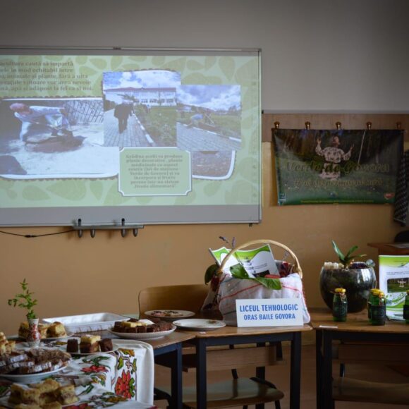 Verde de Govora – Hub de permacultură