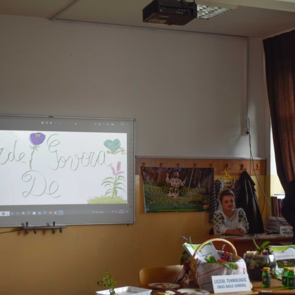 Verde de Govora – Hub de permacultură