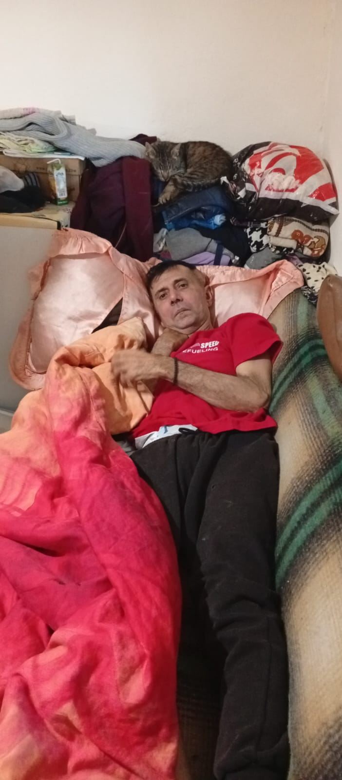 lemne foc pentru alex 2